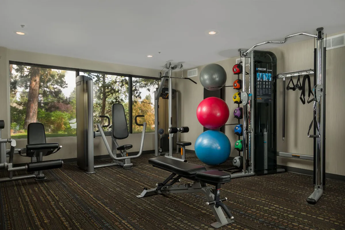 A well-equipped fitness center featuring modern exercise equipment, colorful exercise balls, and a large window overlooking trees outside. The serene view connects guests to nature while working out, and the space is bright, clean, and motivational.